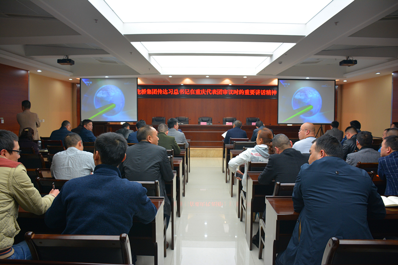 集团传达学习习总书记在参加重庆代表团审议时的重要讲话精神