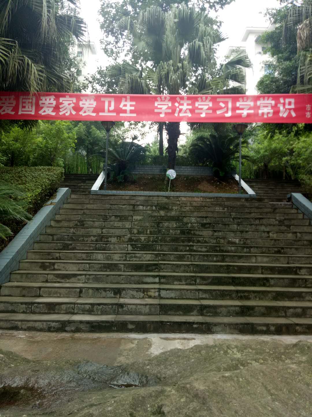 民法典 护民权