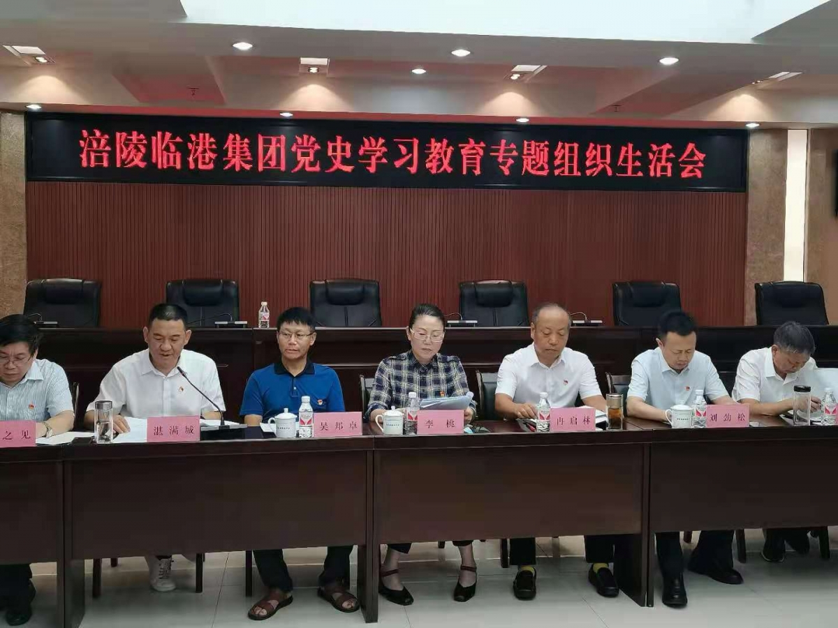 集团召开党史学习教育专题组织生活会