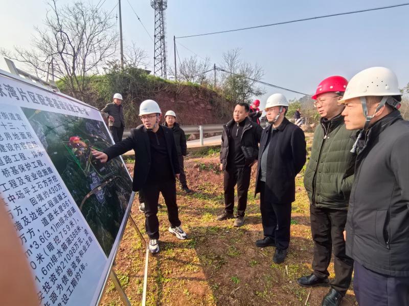 集团公司开展春节前安全维稳专项检查